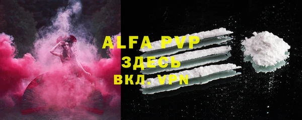 индика Абинск