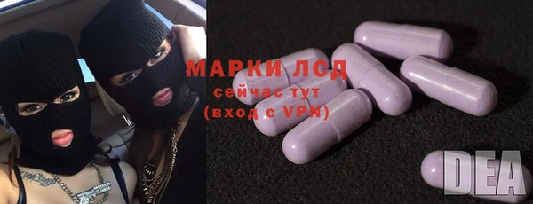 индика Абинск