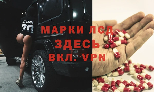 индика Абинск