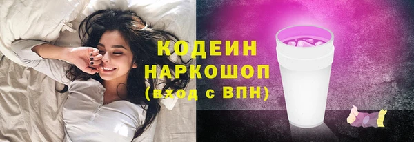 индика Абинск