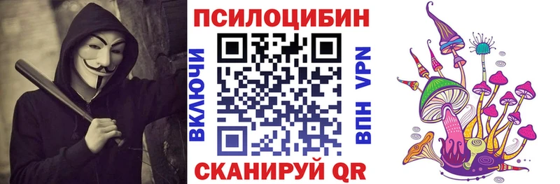 Галлюциногенные грибы Psilocybine cubensis  Мурино 